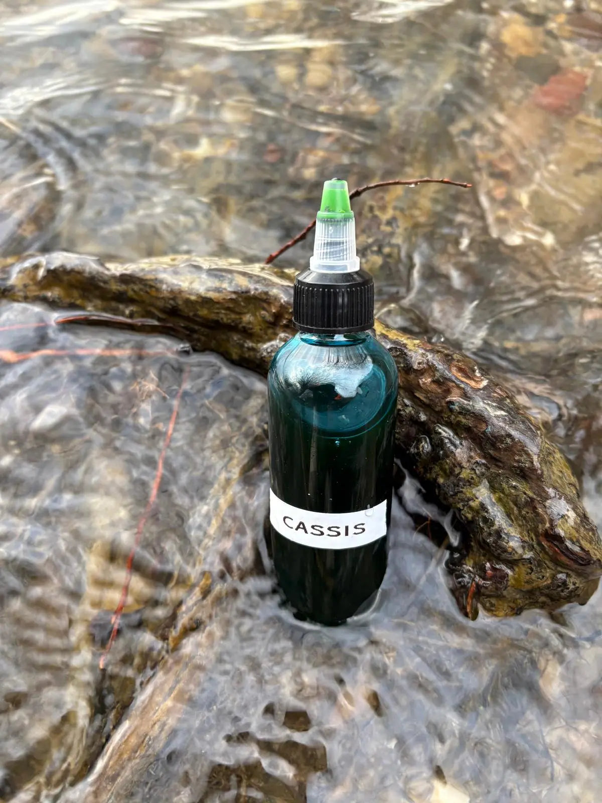 Booster Cassis CarpDreamBoilies