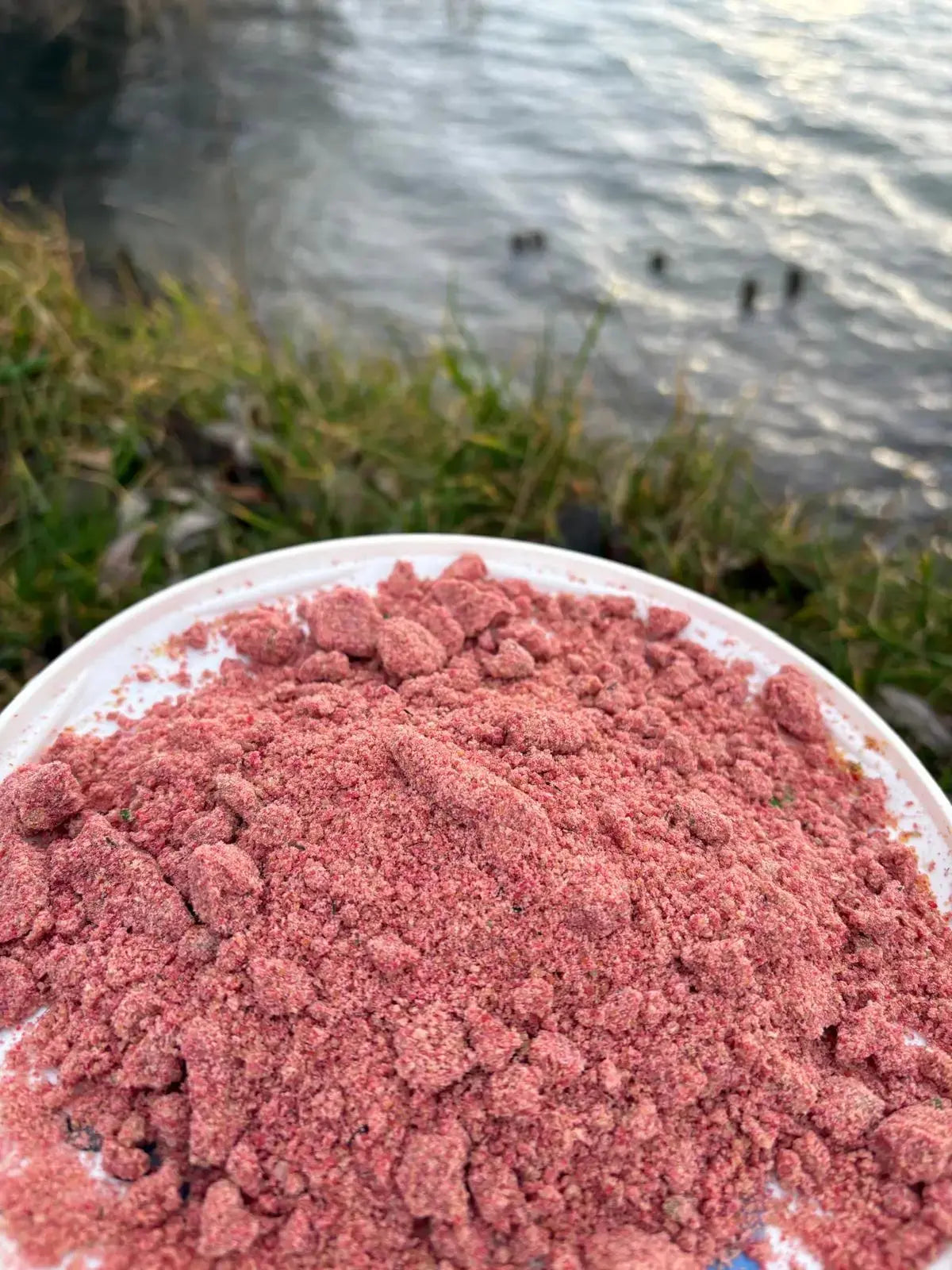 Stick Mix fruité CarpDreamBoilies