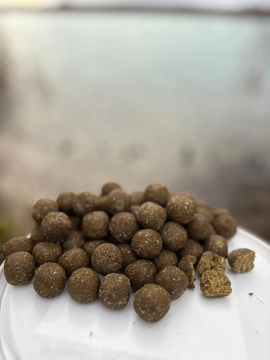 Ail-Menthe 1KG CarpDreamBoilies